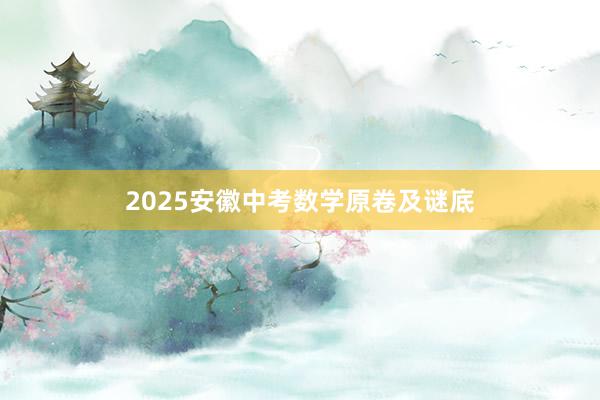 2025安徽中考数学原卷及谜底